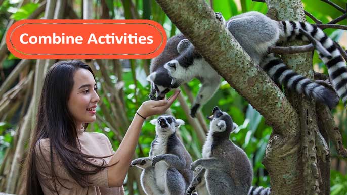 Bali Zoo Combine Tour Package
